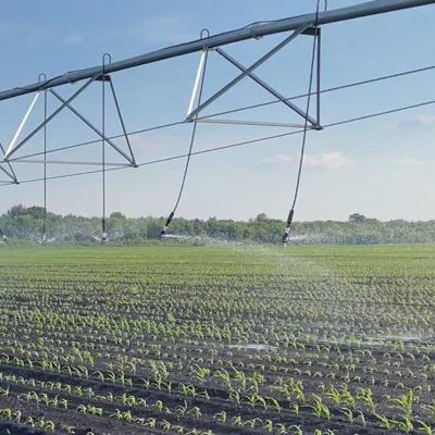 Дождевальные машины ДМЭК Кубань-С