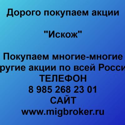 Покупаем акции «Искож...