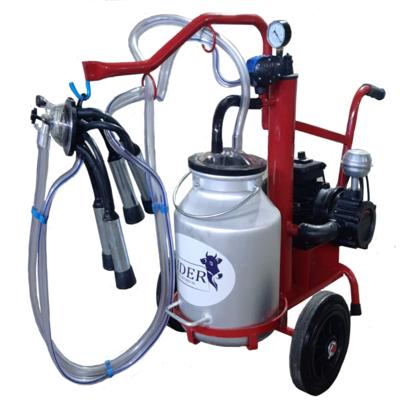 Доильный аппарат LIDER 20.4 Турция для КРС