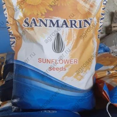 Семена гибрида подсолнечника Санмарин 410 под евролайтинг (аналог Сингента Неома)
