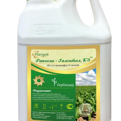 Ранголи-Галситил, КЭ