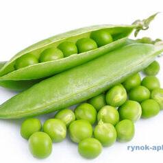 Реализуем Горох, качество ГОСТ. По всем вопросам обращаться по телефону.  