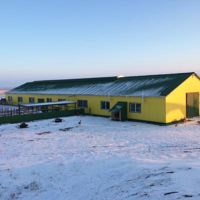 реконструкция коровников