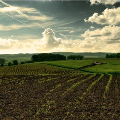 Аренда пашни