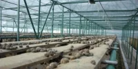 сельское хозяйство