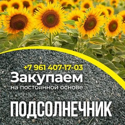 Закупаем сельхозпроду...