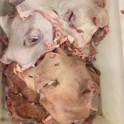 Шкура свиная с голов,...