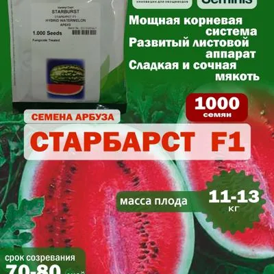 Семена арбуза Старбар...
