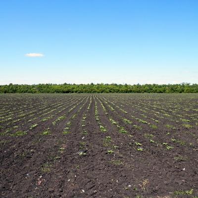 Продам земельный участок 4,6 га. на трассе М-5 Урал, 740-й км.