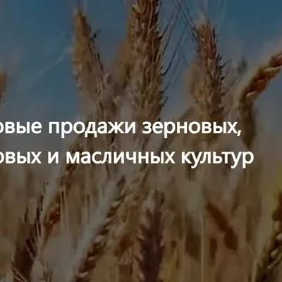 ООО Агропром - оптова...