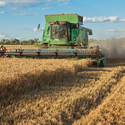 Продаю хозяйство в Тульской области