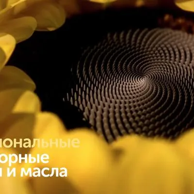 SolPro - промышленные...