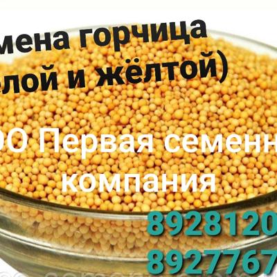 Семена горчицы  Викто...
