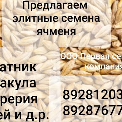 Семена ячменя ярового...