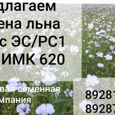 Семена льна масличног...
