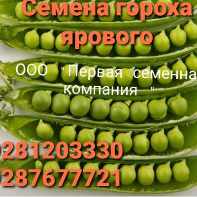 Семена гороха Нордман...