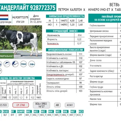 Семя/сперма быков-про...