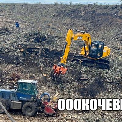 Вырубка, выкорчёвка, переработка в щепу деревьев и корней