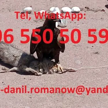 Guide, chauffeur au Kyrgyzstan, tourism, voyages, excursions, balades aux montagnes 