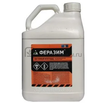 Феразим, КС