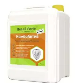 РЕАСИЛ ФОРТЕ КомбоАктив / Reasil Forte КомбоАктив