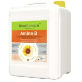 Реасил микро Амино Бор (Reasil  micro Amino B)
