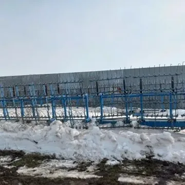 Борона СШГ пружинная (производства Южный Ветер)