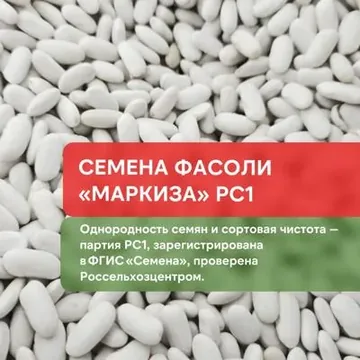 Рукав для зерна