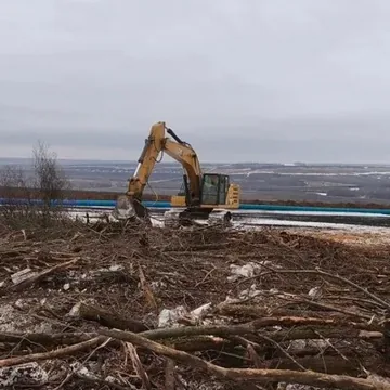 Расчистка участков от 1 га под «ключ»