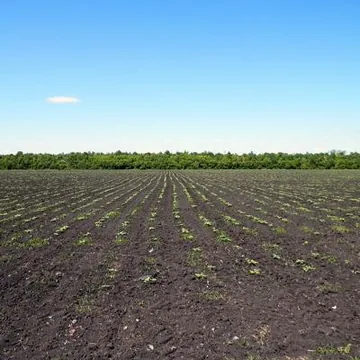 Продам земельный участок 4,6 га. на трассе М-5 Урал, 740-й км.