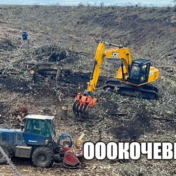 Вырубка, выкорчёвка, переработка в щепу деревьев и корней