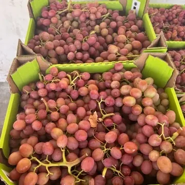 Виноград Преображение...