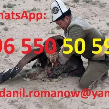 Гид, водитель, туры в Кыргызстане, туризм, путешествия, горы, трэки в Киргизии