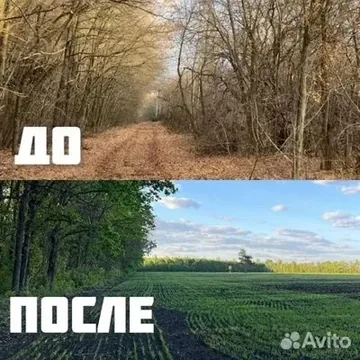 Расчистка территорий от деревьев и пней от 1 Га