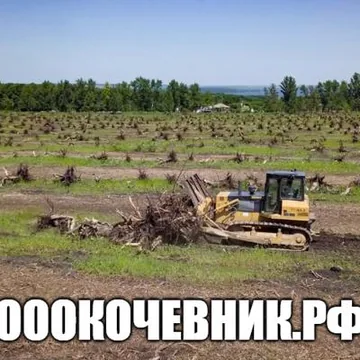 Вырубка, выкорчёвка, переработка в щепу деревьев и корней