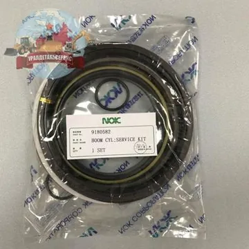 Р/к г/ц стрелы 9180582 на Hitachi ZX450 NOK
