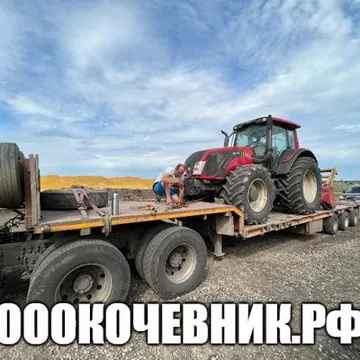 Вырубка, выкорчёвка, переработка в щепу деревьев и корней