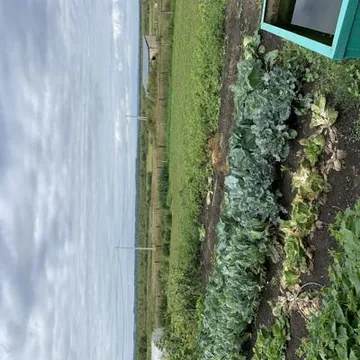 продам з/у с большим коттеджем для большой семьи