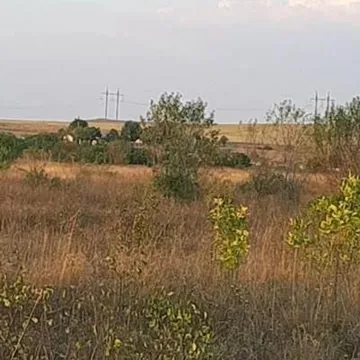 Продам землю сельхоз назначения Крым, Симферополь