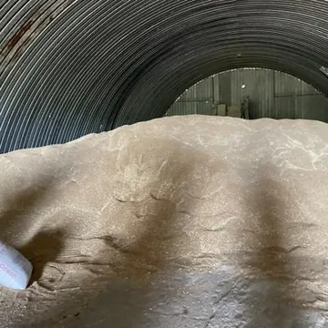Ячмень