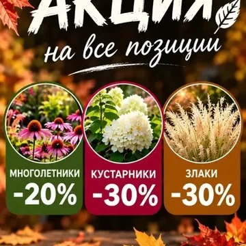 Сотрудничество с пито...
