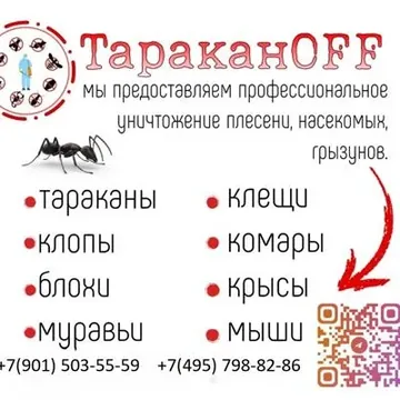 Дезинфекция и дезинсекция