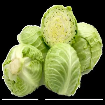 Капуста