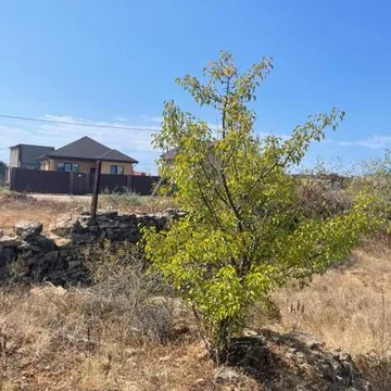 Участок в Севастополе
