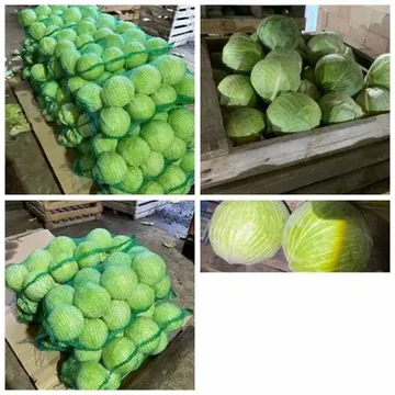 Экспорт сельскохозяйственной продукции из Республики Беларусь