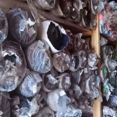 Продаю Лен Белоруский 