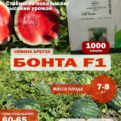 Семена арбуза Бонта F...