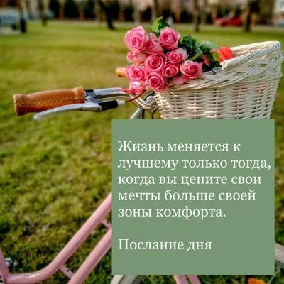 Участок 4.5 сотки с д...
